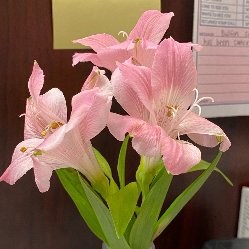 Meet your Posher, Jay